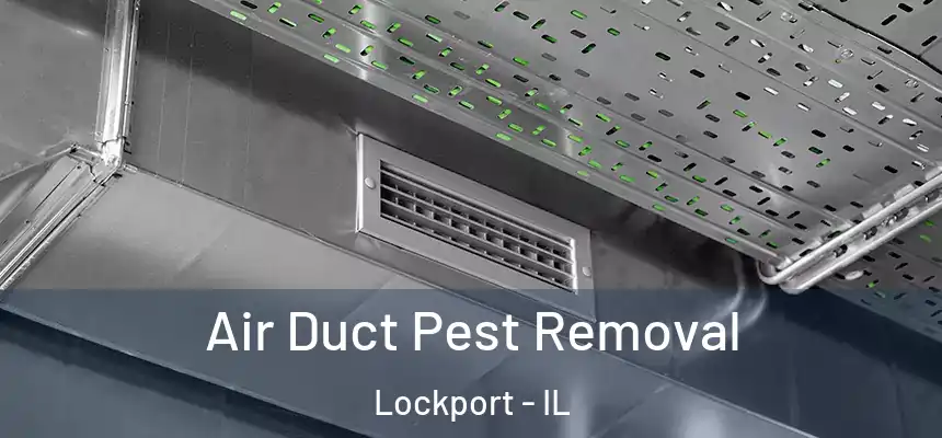 Air Duct Pest Removal Lockport - IL