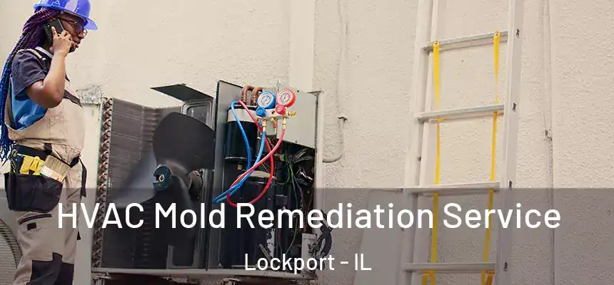  HVAC Mold Remediation Service Lockport - IL