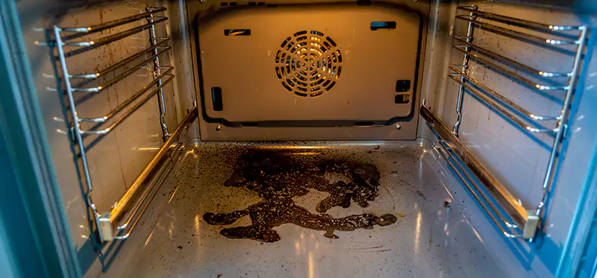 Our Dryer Vent Mold Cleaning Services in Lockport, IL