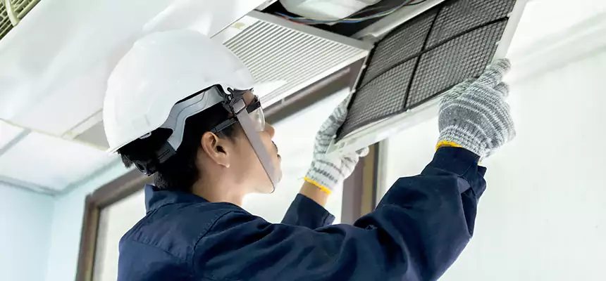 Our Mold & Mildew Removal from Air Ducts Services in Lockport, IL