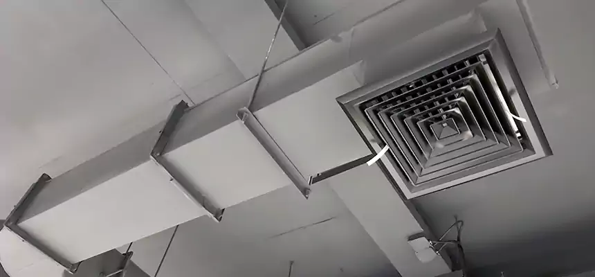 Our Pest Removal From Ducts Services in Lockport, IL