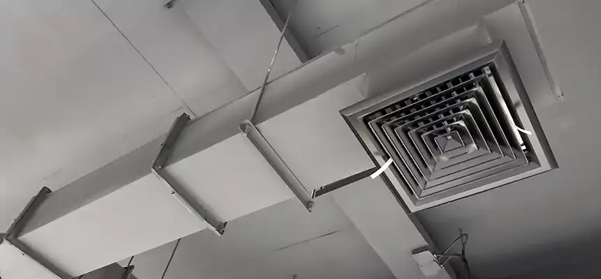 Our Rodent Droppings In Vents Services in Lockport, IL