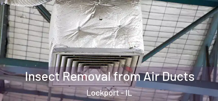 Insect Removal from Air Ducts Lockport - IL