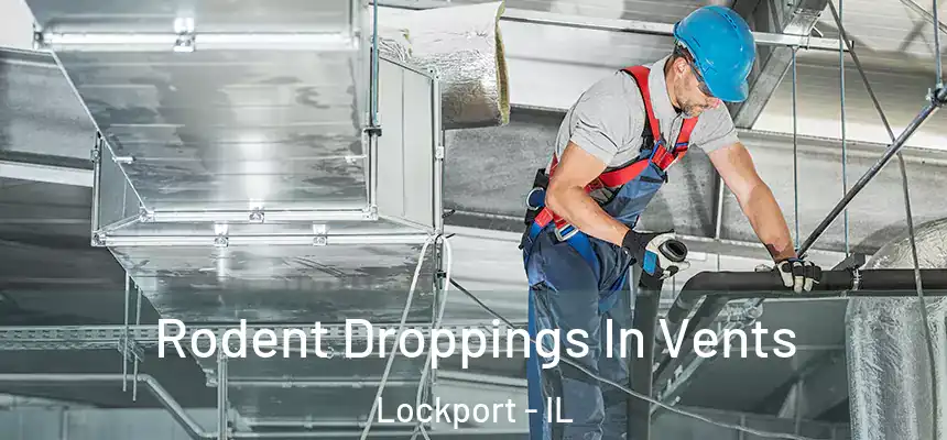  Rodent Droppings In Vents Lockport - IL
