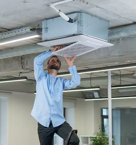 Advanced Rodent Droppings In Vents in Lockport, IL