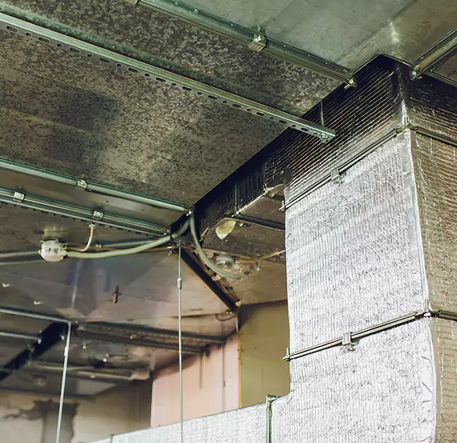 Why Homeowners & Businesses Trust Us in Lockport, IL?